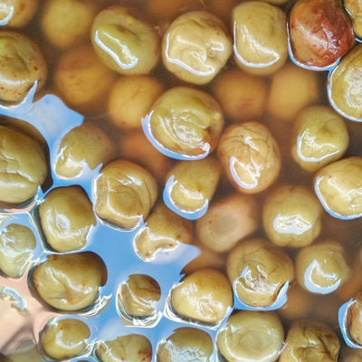 农家腌酸梅子泡水话梅800g无糖孕妇盐渍咸水梅泡青梅咸梅干灌装 虎窝淘