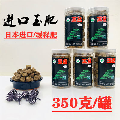 日本进口玉肥松柏用肥带盖肥料盒玉肥料球盒盆景长效缓释肥 虎窝淘