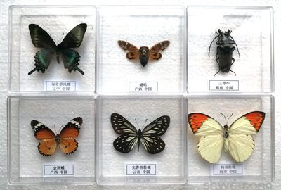 创意家居反重力牛顿摆钢铁侠混沌摆永动机摆件乔迁商务送礼品模型 虎窝淘