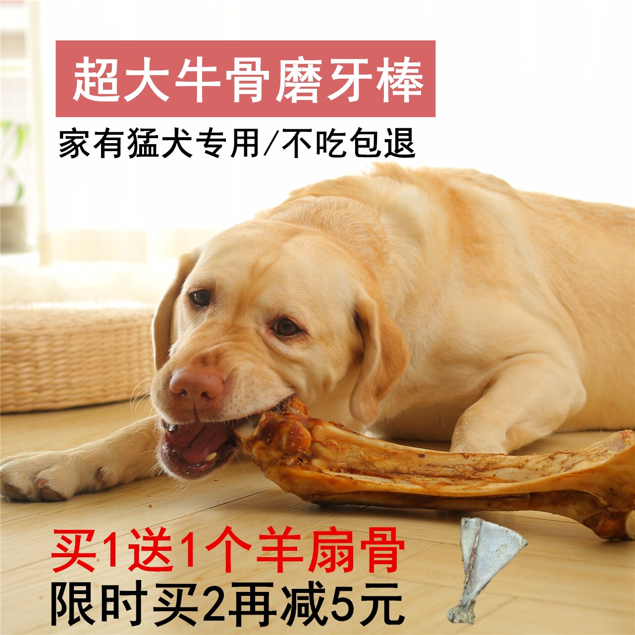 狗狗磨牙棒狗骨头泰迪金毛小大型犬幼犬耐咬牛棒骨除口臭补钙零食 虎窝淘