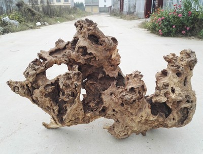 大型鱼缸沉木水草缸造景木流木紫柚木杜鹃根珊瑚木千层木 虎窝淘
