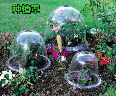 植物种植罩园艺种树保湿迷你保温罩防水温室罩暖棚花盆防冻阳台 虎窝淘