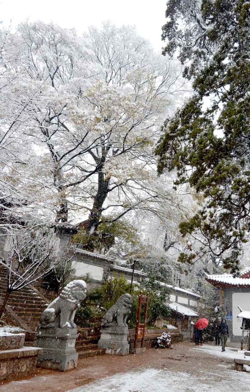 罕见的丽江雪 到底多 冷艳