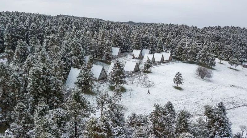 下雪啦 仙女山的初雪来啦 此时正美 赶紧来吧