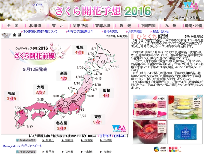 不经意赶上樱花季の箱根 东京自由行