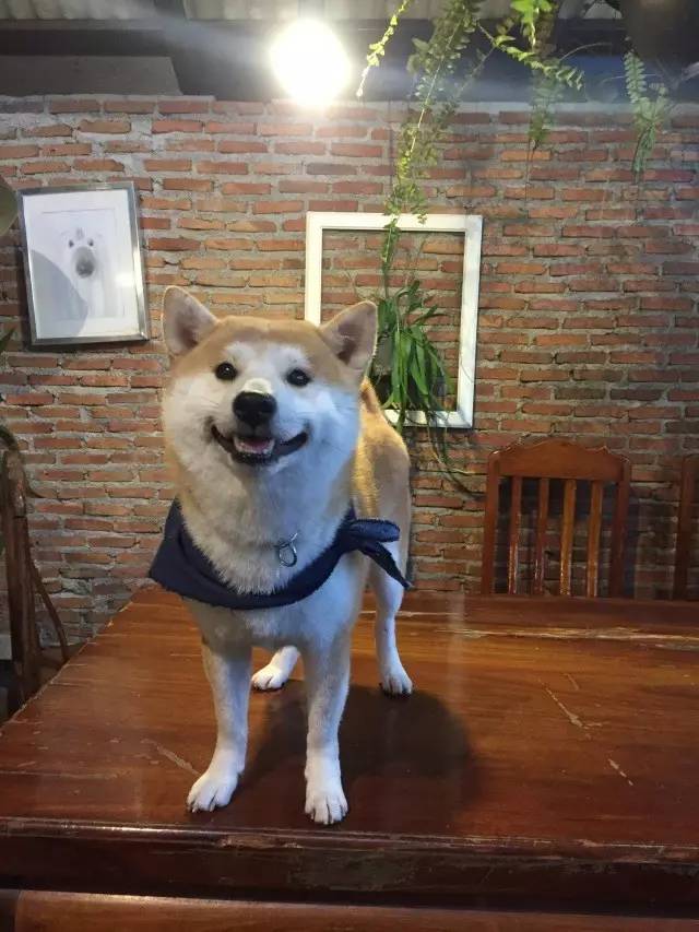曼谷华欣避雷种草指南