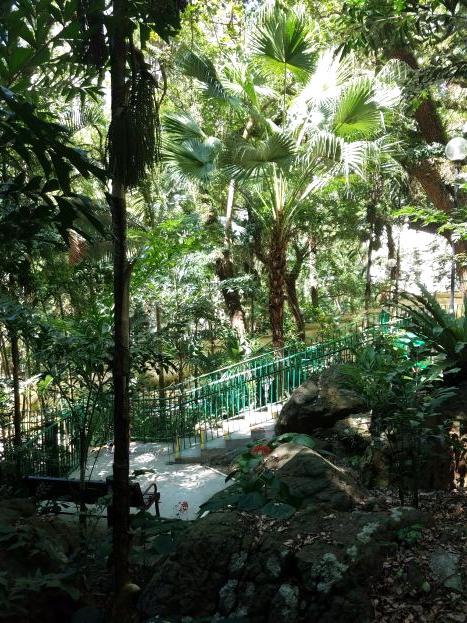 城西公园 城西公园介绍 电话 地址 周边景点 飞猪