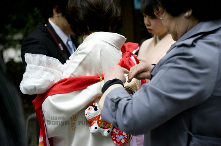 名古屋 探秘 日本神社 是个什么鬼