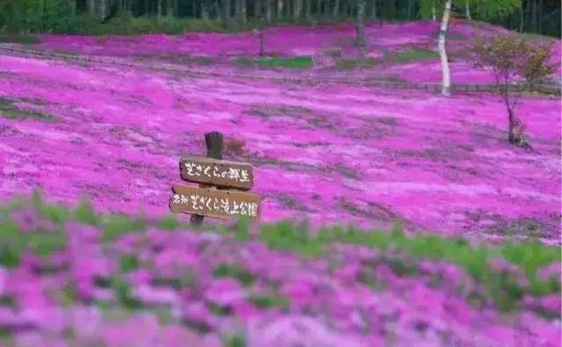 北海道 日本最后的秘境