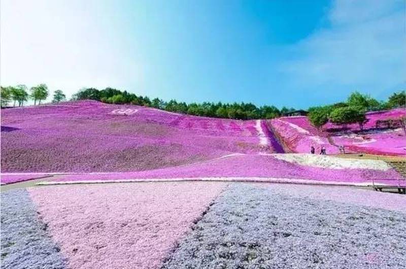 北海道 日本最后的秘境