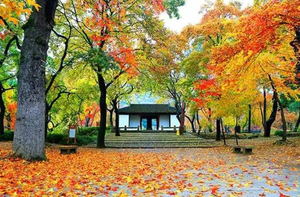 上海到苏州东山旅游攻略