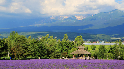 为什么去北海道，有些人是看了照片就去了