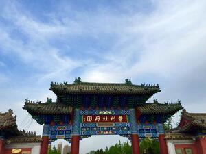 曹州牡丹园