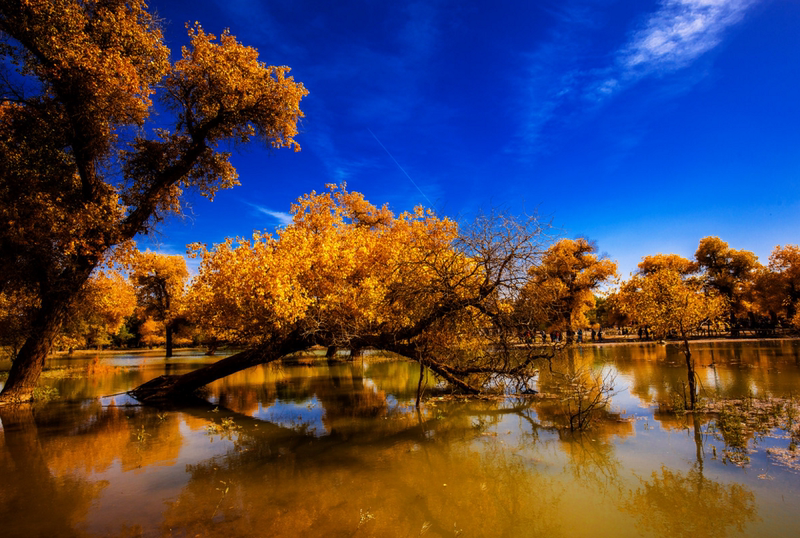 自驾额济纳旗 从兰州出发 西宁出发的攻略