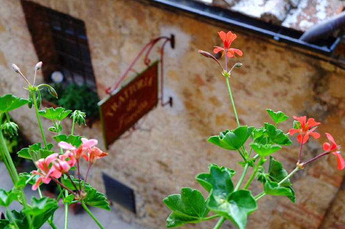 意大利托斯卡纳艳阳下的暮光之城