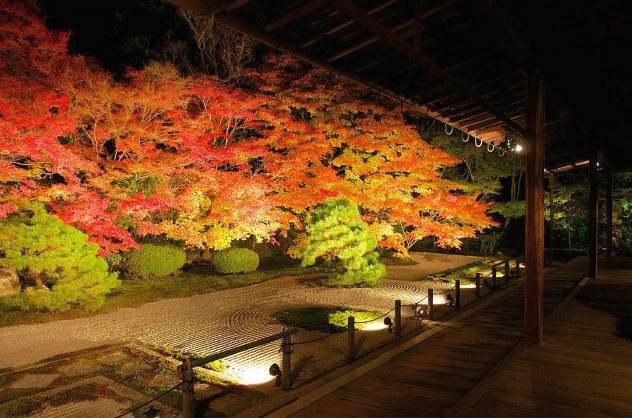 京都红叶丨红叶季来了 日本京都最美的季节马上就要开始了
