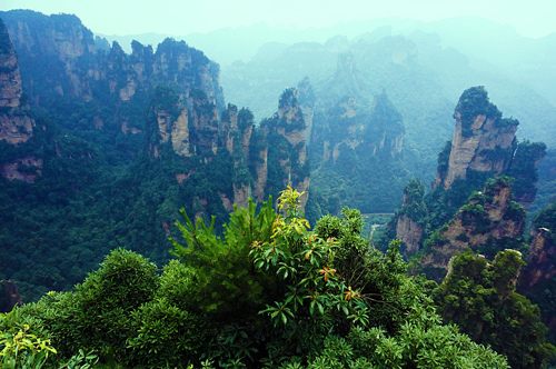 这些高颜值的地方，今年带我去一个可否