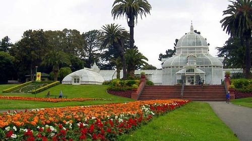 旧金山文化创意三日游