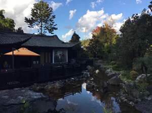 腾冲悦椿温泉村 腾冲悦椿温泉村介绍 电话 地址 周边景点 飞猪