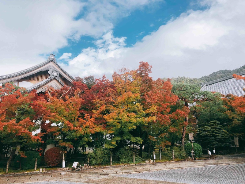 贵船神社 贵船神社介绍 电话 地址 周边景点 飞猪