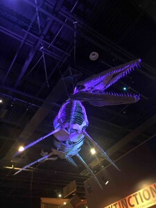 Winnipeg Convention Centre