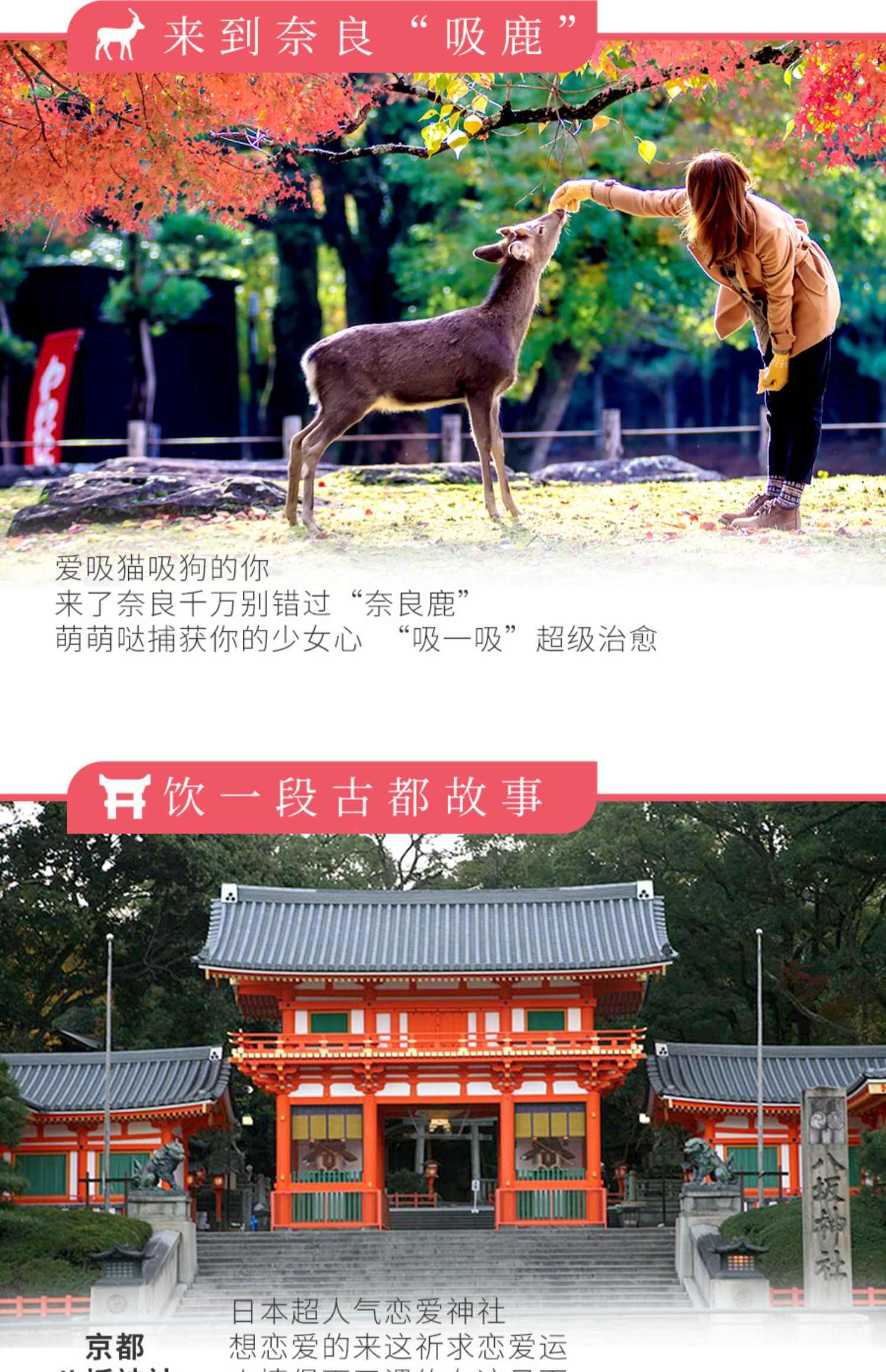 广州-日本本州经典周游6天跟团游奈良公园温泉