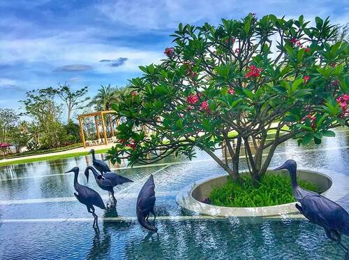 @所有人，速速围观，7月份大鹏又多了一大波免费福利！！