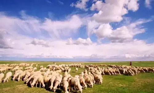 夏季的旅行怎能少了草原，河北这7大颜值逆天的草原 你去过吗？