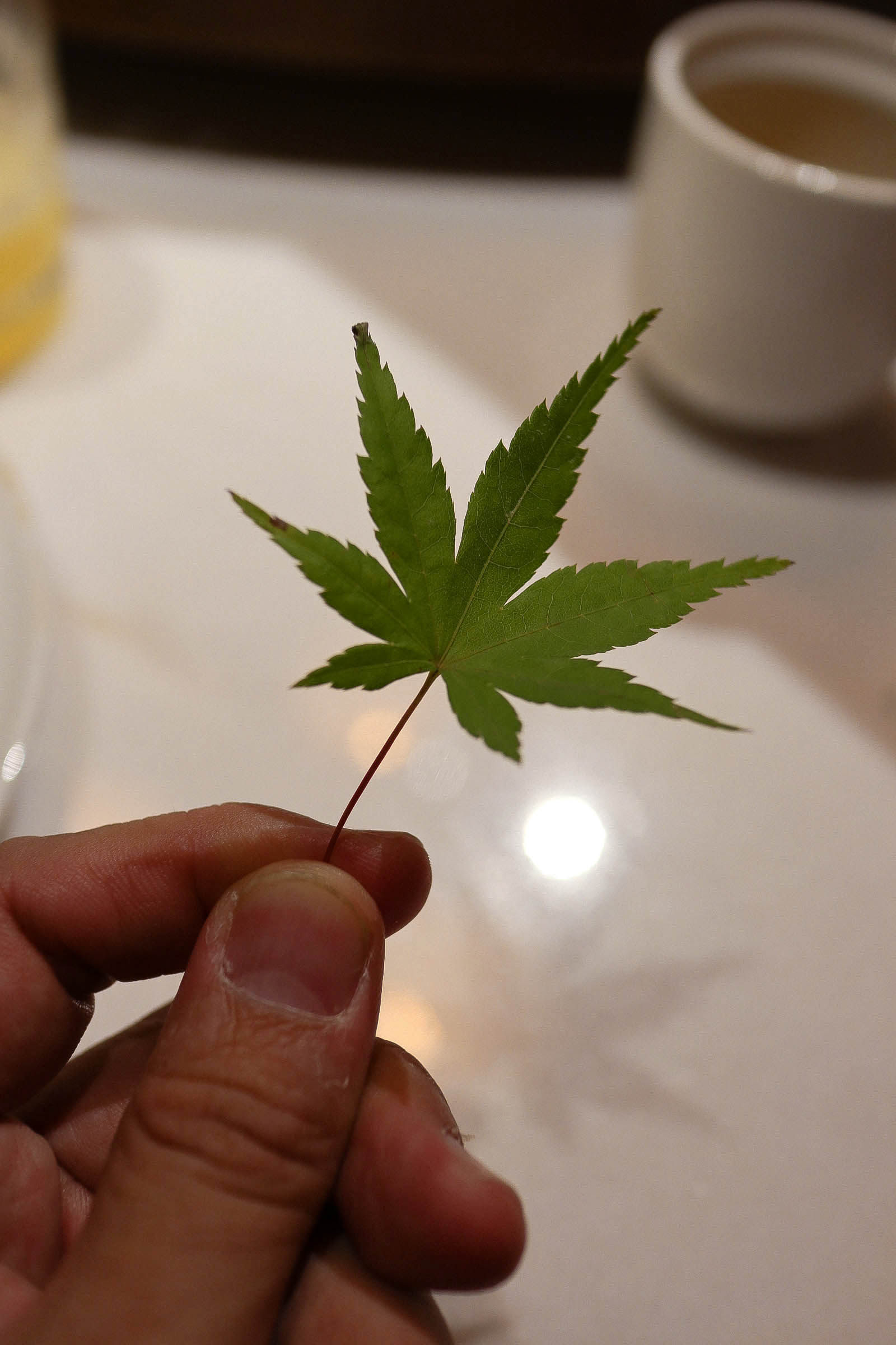 岚第 赤坡山下武夷风 宝龙城上八闽情