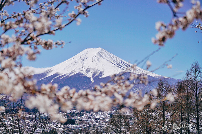 去东京邂逅富士山 看这篇攻略就够了