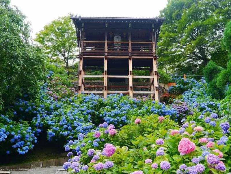 京都古寺の红叶狩