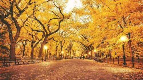 秋季新玩法！充实的西安一日游！