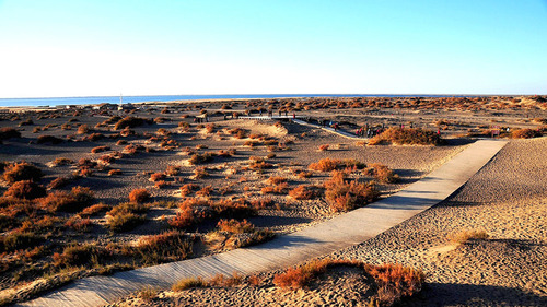 撩人秋景，深秋国内目的地推荐