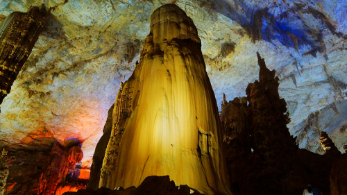 世界地质公园贵州<span class='highlight'>织金</span><span class='highlight'>洞</span> 霸王盔银雨树是镇<span class='highlight'>洞</span>之宝