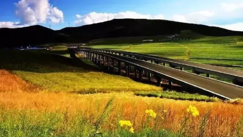 这是一条绝美的天路，只因为沿途风景美得爆表！