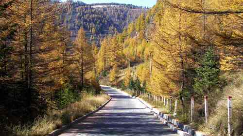 天津人赏秋何必远行？河北这8个地方美到让你不敢眨眼睛！