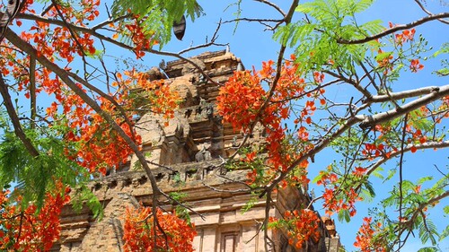 越南芽庄为什么这么受欢迎，有哪些值得一去的景点？