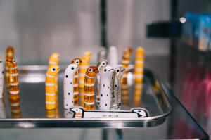 墨田水族馆 墨田水族馆介绍 电话 地址 周边景点 飞猪