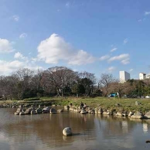 二子玉川公園 二子玉川公園介绍 电话 地址 周边景点 飞猪