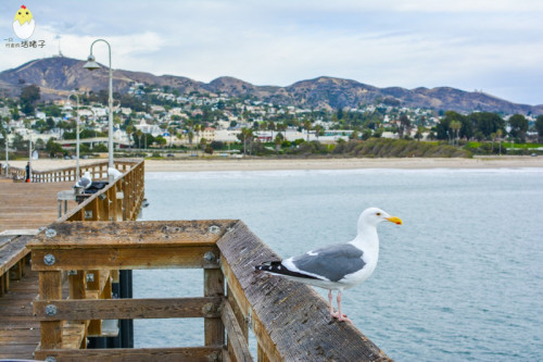 一号公路走三遍，冬天也有独特的美