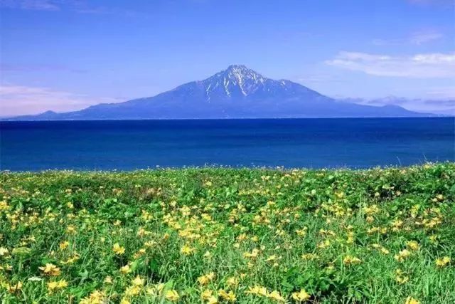 北海道4日小众夏季攻略