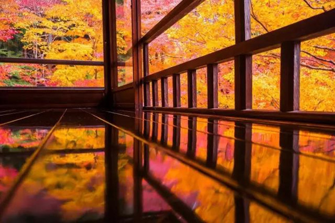 日本红叶季来袭 私藏小众赏枫路线看这里