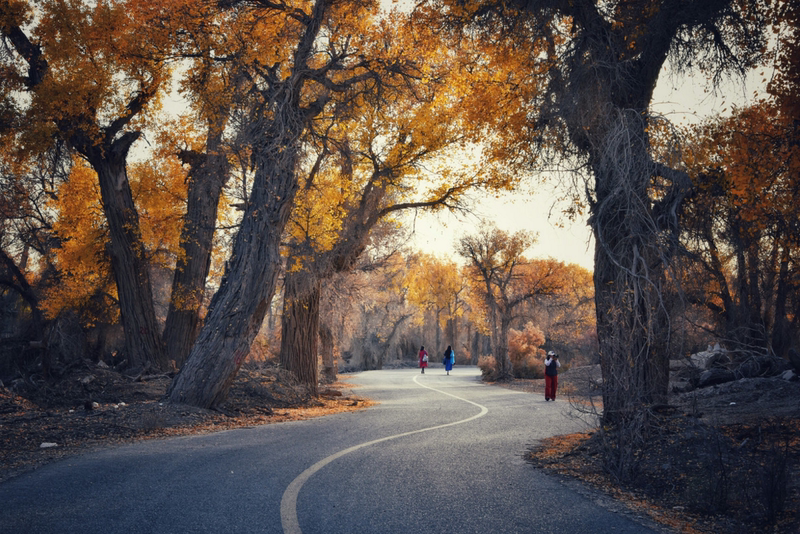 自驾额济纳旗 从兰州出发 西宁出发的攻略