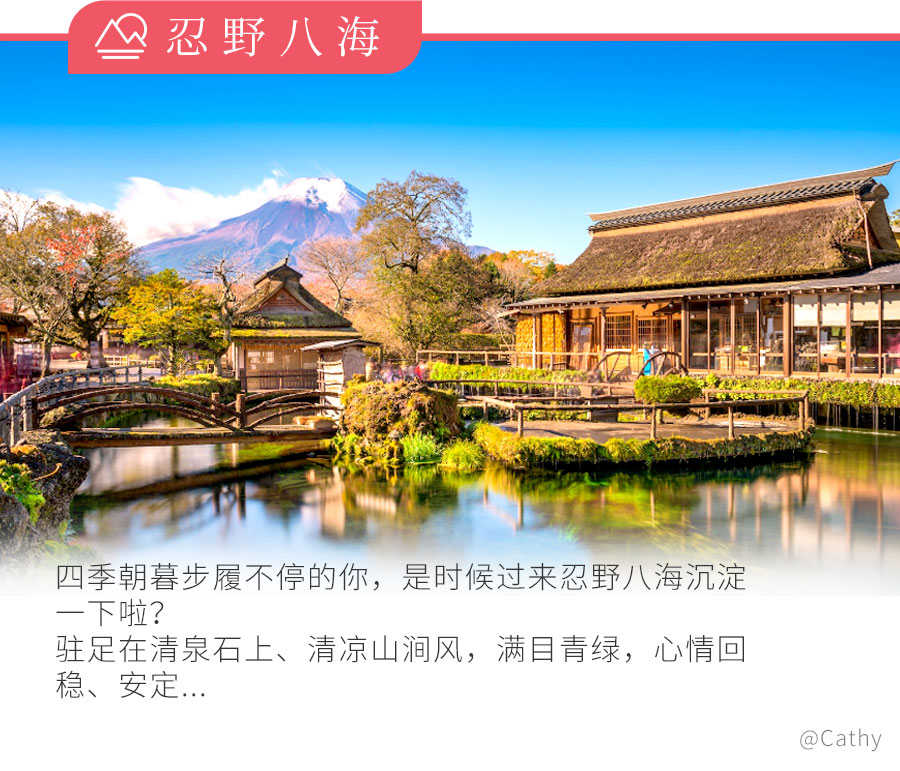 广州-日本本州经典周游6天跟团游奈良公园温泉