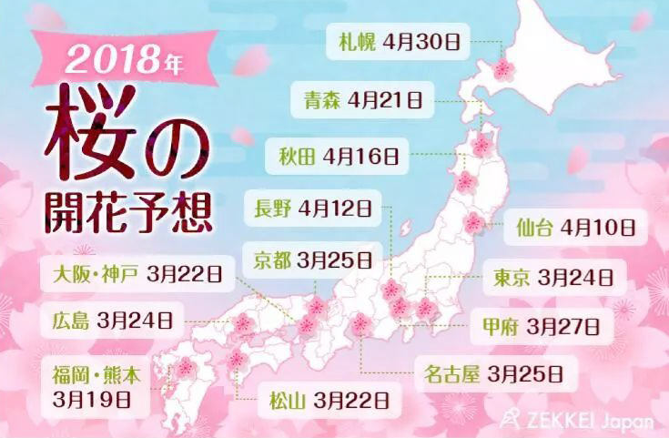 18樱花盛放最前线 附上赏樱花地点 18樱花盛放最前线 附上赏樱花地点