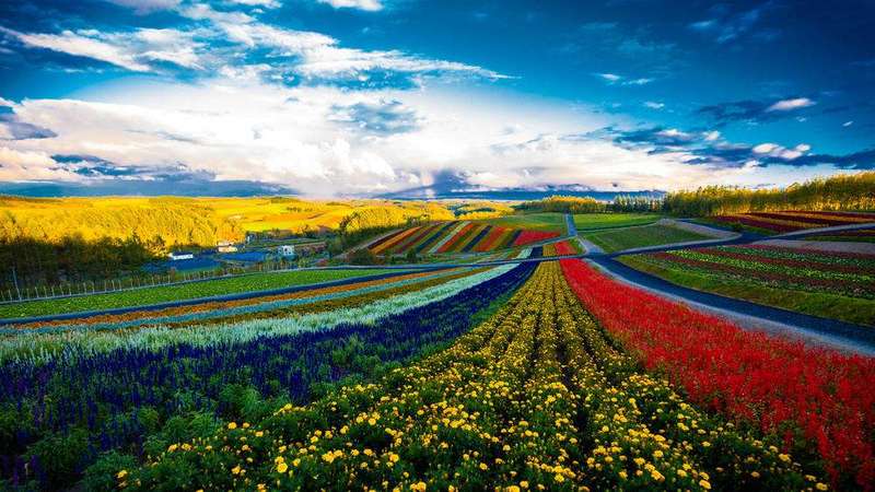 帮你省时间 假期困难户看过来 夏天北海道这样玩