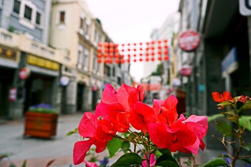 最文艺，最广州--广州文艺景点自由行攻略