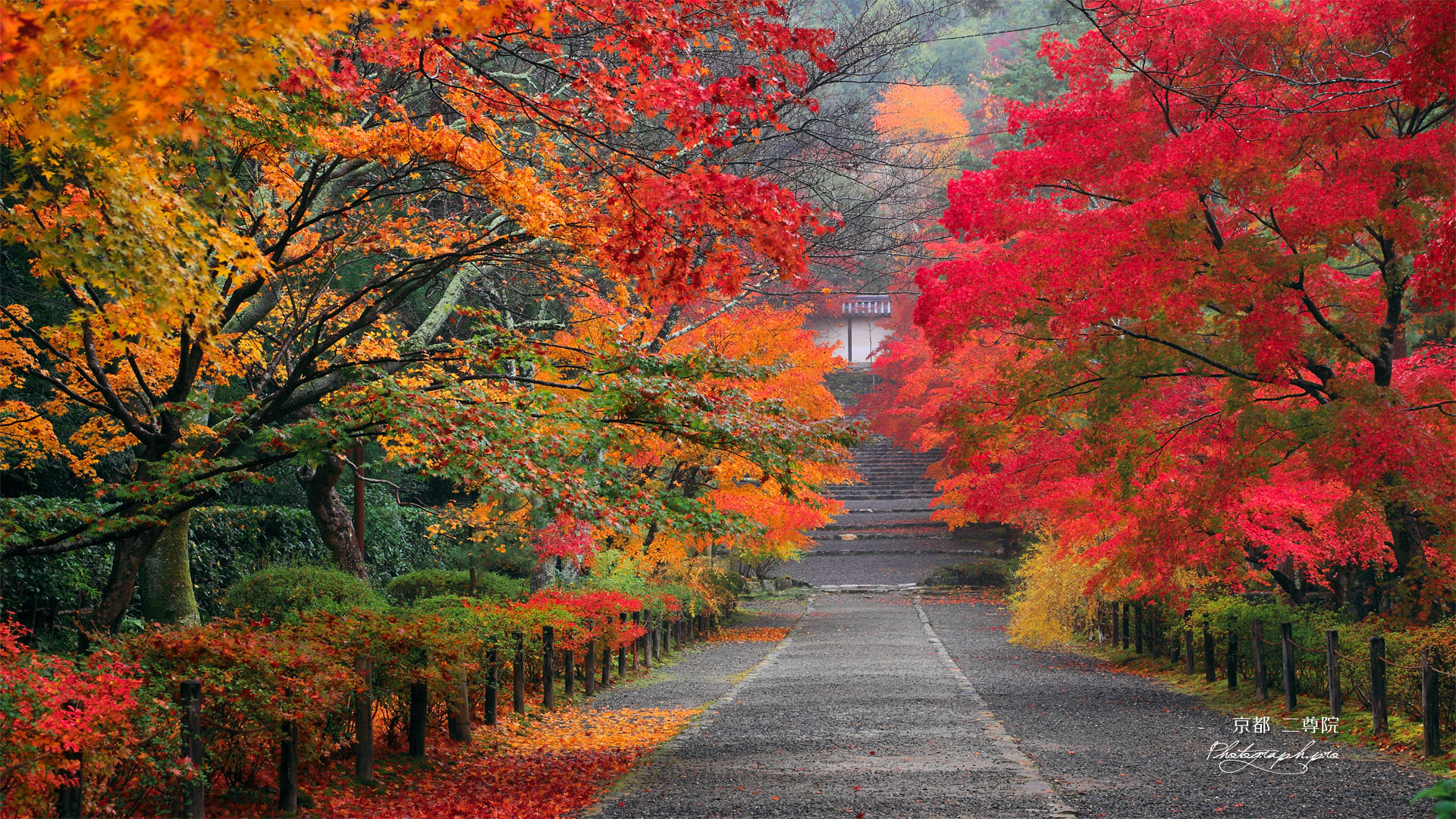 年の最高 京都紅葉壁紙