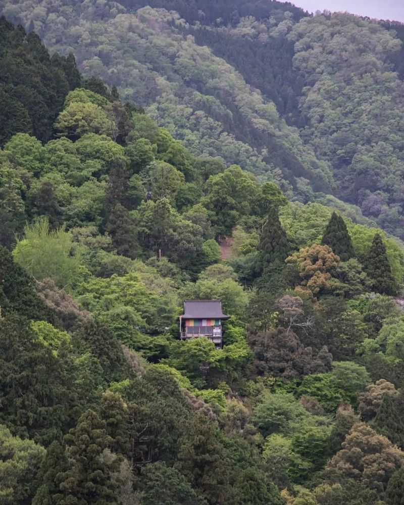这是一条明星喜欢 而且又能打卡网红咖啡店的路线