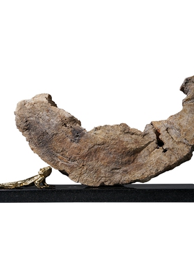 软装样板房间办公室孤品木化石